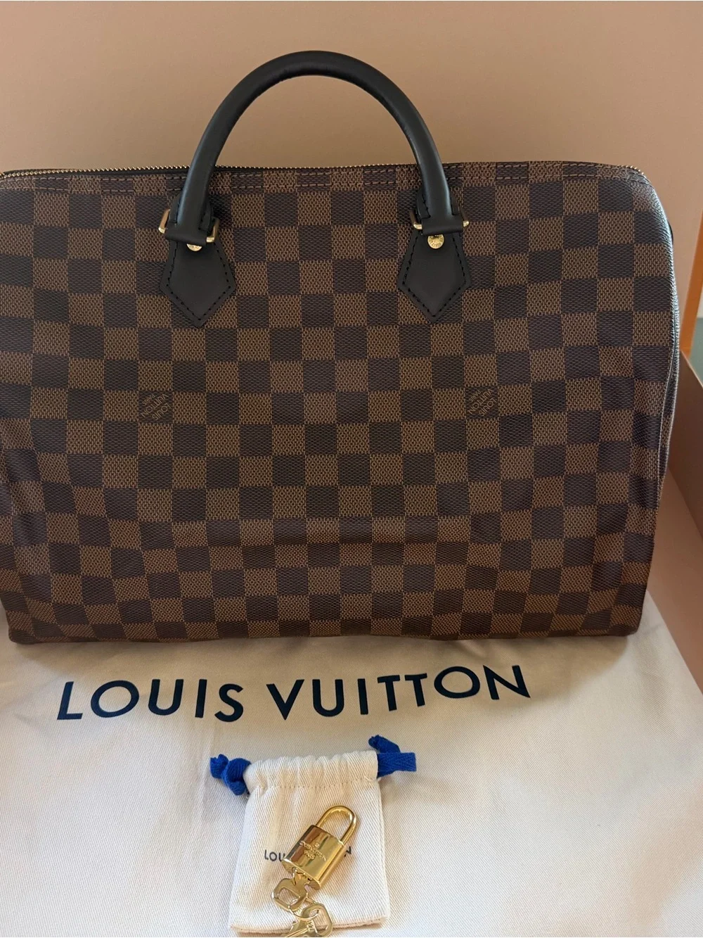 Louis Vuitton Brown Damier Ebene Canvas Speedy Bag